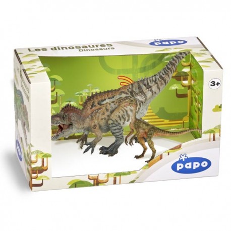BOÎTE CADEAU DINOSAURES