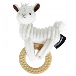 Muchachos Le Lama A Machouiller