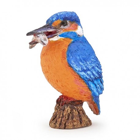 COMMON KINGFISHER