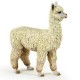 Alpaca