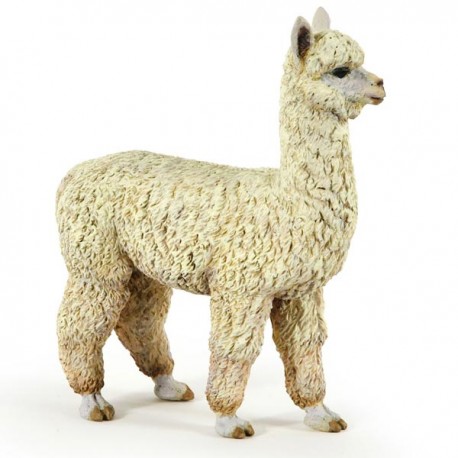 Alpaca