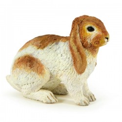 LAPIN BÉLIER