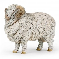 MOUTON MÉRINOS