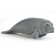 MANATEE