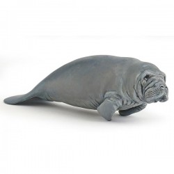 MANATEE