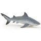 REQUIN BOULEDOGUE
