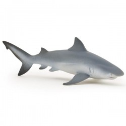 BULL SHARK