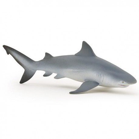 REQUIN BOULEDOGUE