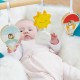 Baby Gym