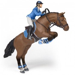 CHEVAL DE SAUT D'OBSTACLE ET CAVALIÈRE DE CONCOURS