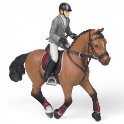 CHEVAL DE CONCOURS ET CAVALIER DE CONCOURS