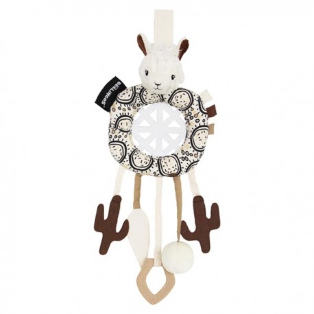 Dream catcher Muchachos the Llama