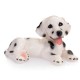 Lamp Dalmatian