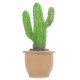 Lamp Finger Cactus In Pot