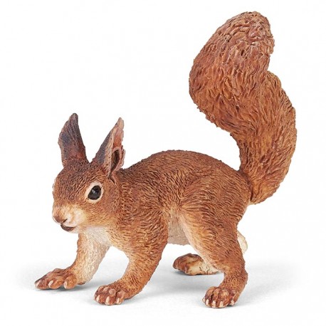 SQUIRREL