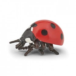 LADYBIRD