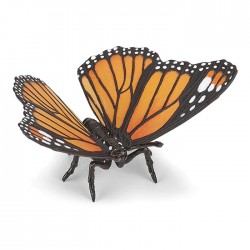 MONARCH BUTTERFLY