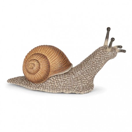 Snail