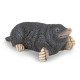 MOLE