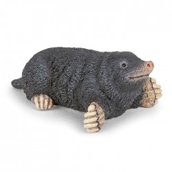 MOLE