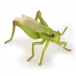 GRASSHOPPER