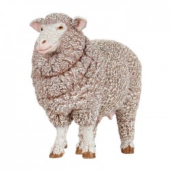 MERINOS SHEEP