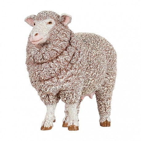 Merinos sheep