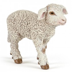 AGNEAU MÉRINOS