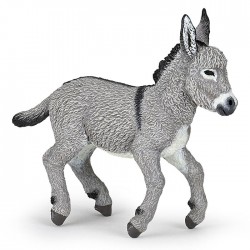Provence donkey foal