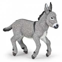 PROVENCE DONKEY FOAL