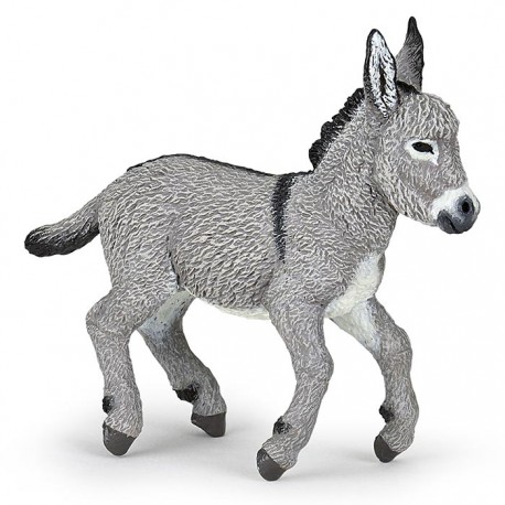 PROVENCE DONKEY FOAL