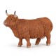 VACHE HIGHLAND