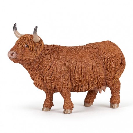 VACHE HIGHLAND