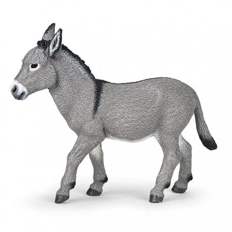 ÂNE DE PROVENCE