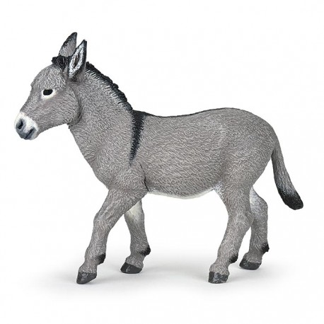 Provence donkey