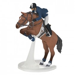 CHEVAL DE SAUT D'OBSTACLE ET SON CAVALIER