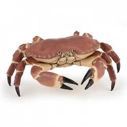 Crab