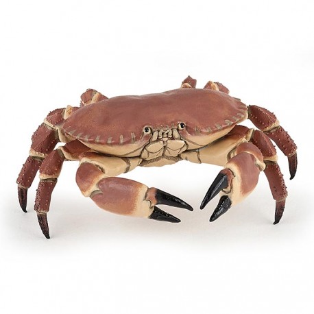 Crabe