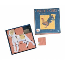 Puzzle Cubes 9 Pcs