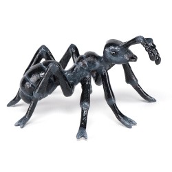 ANT
