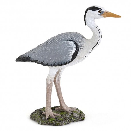 GREY HERON