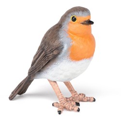 ROBIN