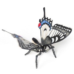 SWALLOWTAIL BUTTERFLY