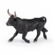 CAMARGUE BULL