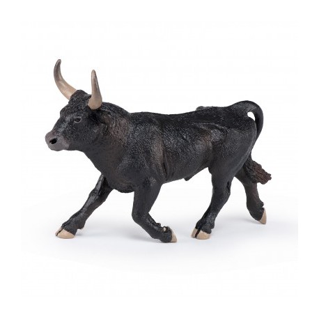 CAMARGUE BULL