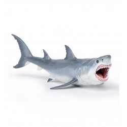 Megalodon