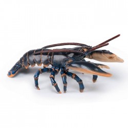 LOBSTER