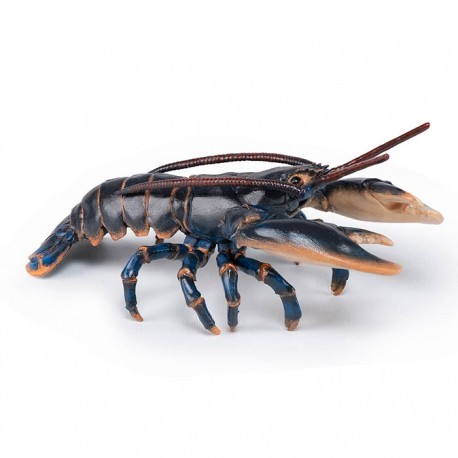LOBSTER