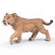 Young smilodon