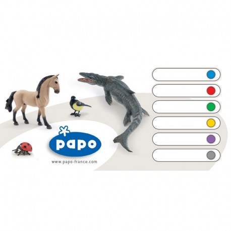 Carte code couleur animaux